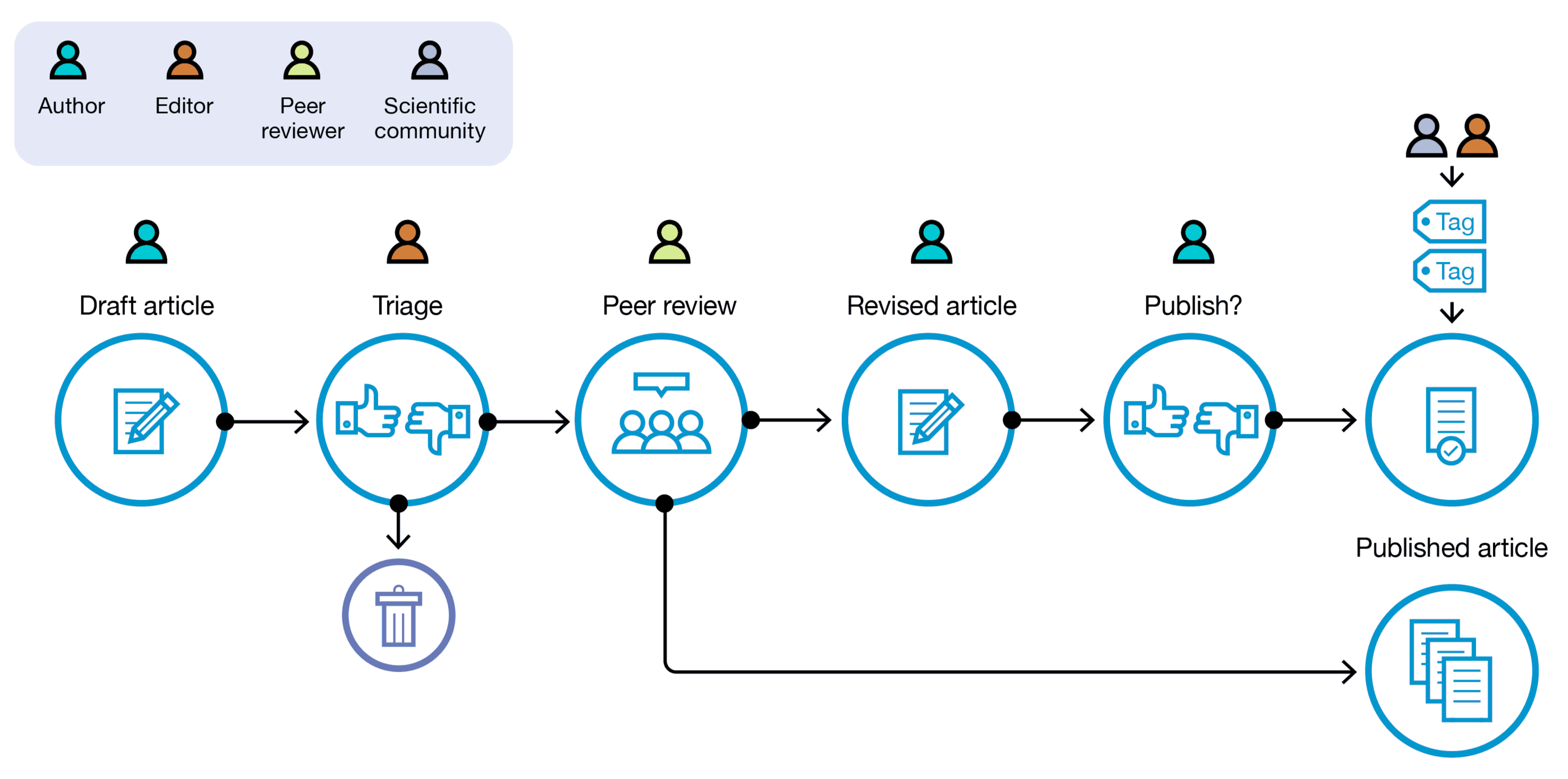 Summary of Editorial Process
